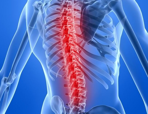 Risk Factors for Spinal Degeneration